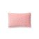 PARLOR VELVET PILLOW thumbnail