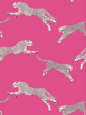 LEAPING CHEETAH