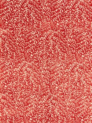 CORALLINA VELVET
