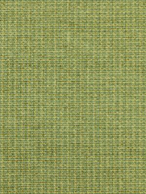 HIGHLAND CHENILLE