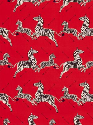ZEBRAS PETITE