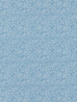 SHAGREEN