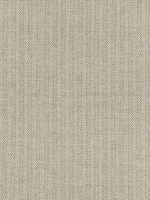 TAHITI TWEED