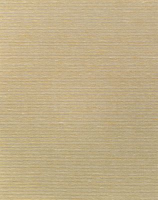 ADITI PLAIN