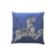ZEBRAS PILLOW thumbnail