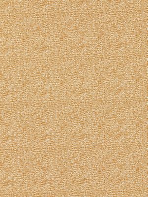 SHAGREEN