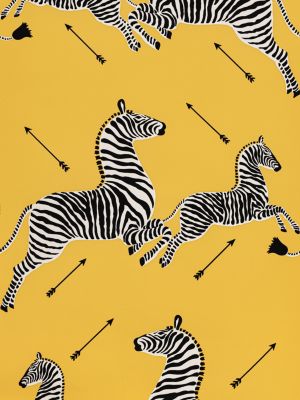 ZEBRAS - VINYL