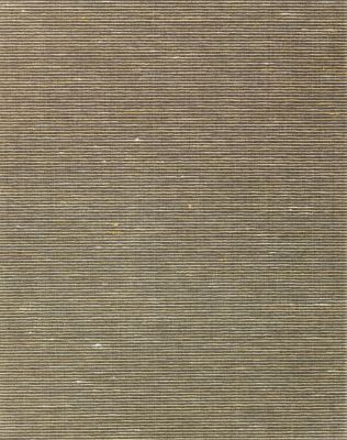 ADITI PLAIN