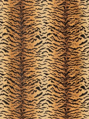 TIGRE