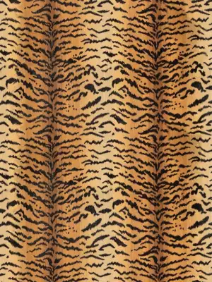 Explore Tigre fabric category