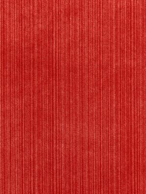 STRIE VELVET