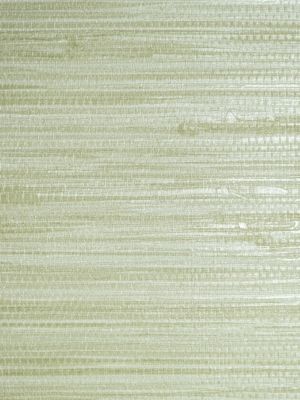 PAMPAS - VINYL II