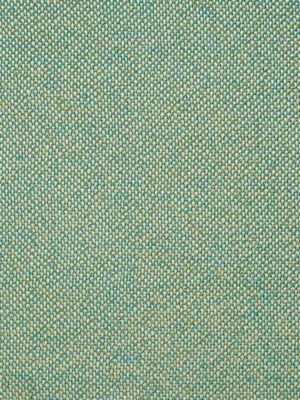 CITY TWEED
