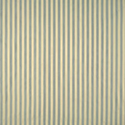 SHIRRED STRIPE