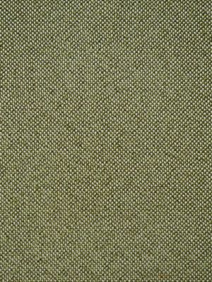 CITY TWEED