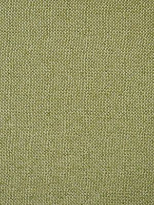 CITY TWEED