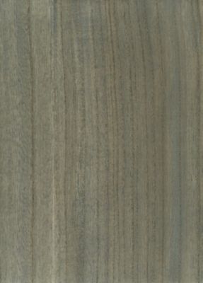 WOODGRAIN