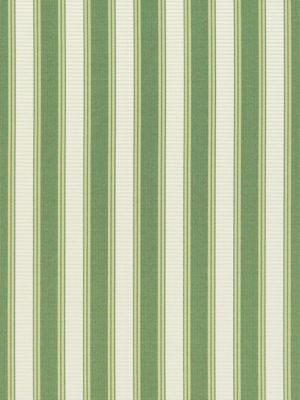 SHIRRED STRIPE