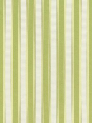 SHIRRED STRIPE