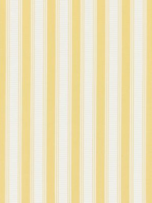 SHIRRED STRIPE