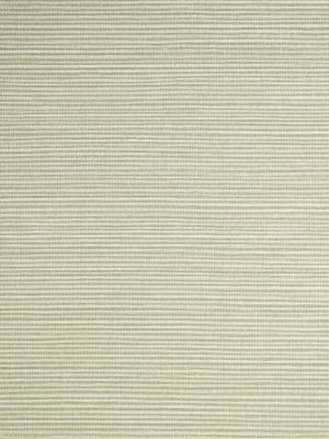 SAVANNA SEEDLING - VINYL II