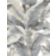 PARADISIO PALM thumbnail