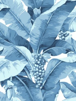 PARADISIO PALM