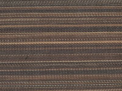 CRIOLLO HORSEHAIR