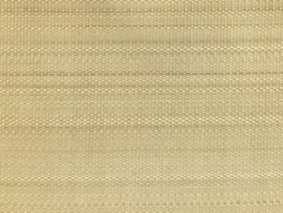 PASO HORSEHAIR