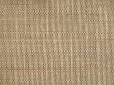 PASO HORSEHAIR