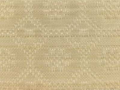 HOLSTEIN HORSEHAIR
