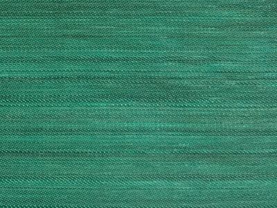 CRIOLLO HORSEHAIR