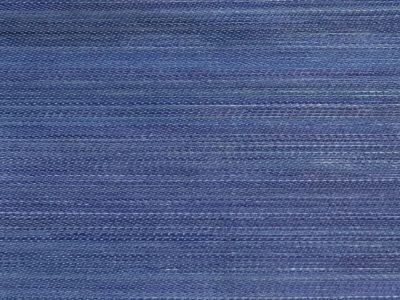 CRIOLLO HORSEHAIR
