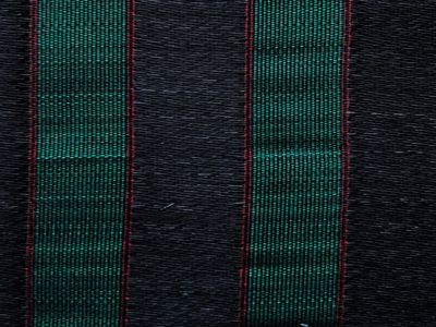 DILUVIAL HORSEHAIR