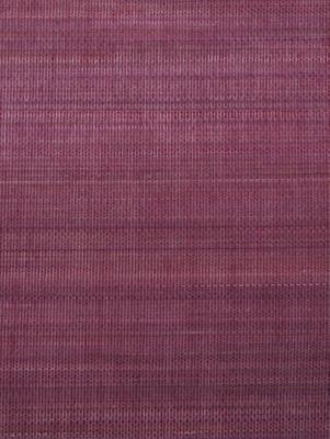 PASO HORSEHAIR