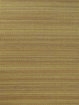 PASO HORSEHAIR