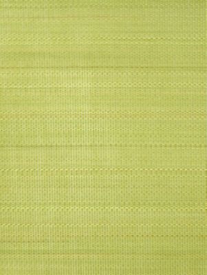PASO HORSEHAIR