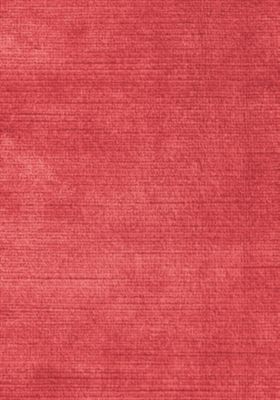 ANTIQUE VELVET
