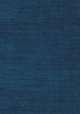 ANTIQUE VELVET