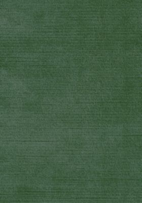 ANTIQUE VELVET