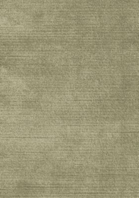 ANTIQUE VELVET