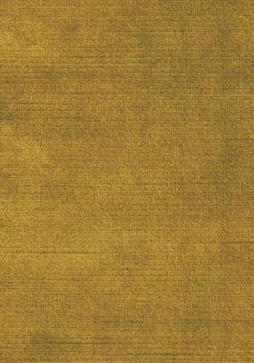 ANTIQUE VELVET