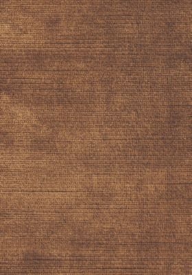 ANTIQUE VELVET
