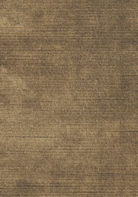 ANTIQUE VELVET