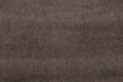 GLAMOUR VELVET