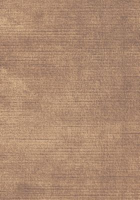 ANTIQUE VELVET