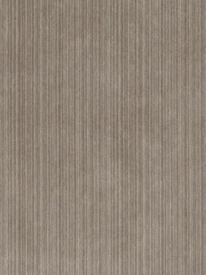 STRIE VELVET