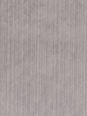 STRIE VELVET