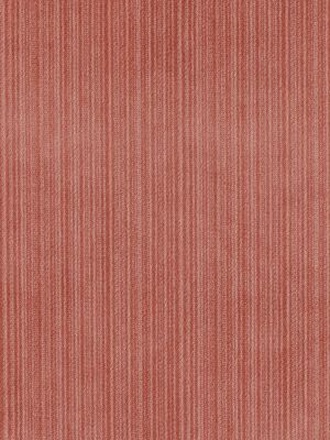 STRIE VELVET