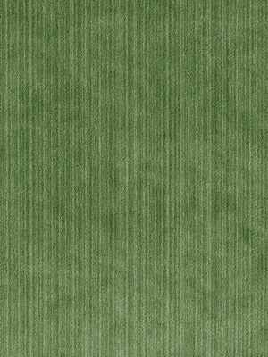STRIE VELVET